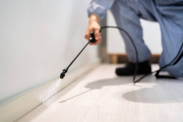 Licensed Fumigation Services service in Henderson County County, KY - Nex Pest Control